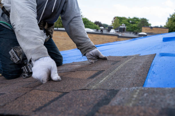 Best Flat Roof Repair Services  in Narrows, VA