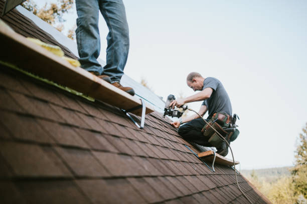 Best Storm Damage Roof Repair  in Narrows, VA