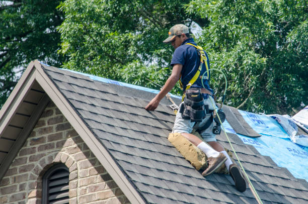 Best Gutter Installation and Roofing  in Narrows, VA